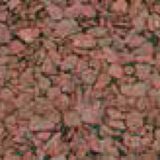 Gedaco-goren-sloi-estestveni-cherveni-mineralni-shisti